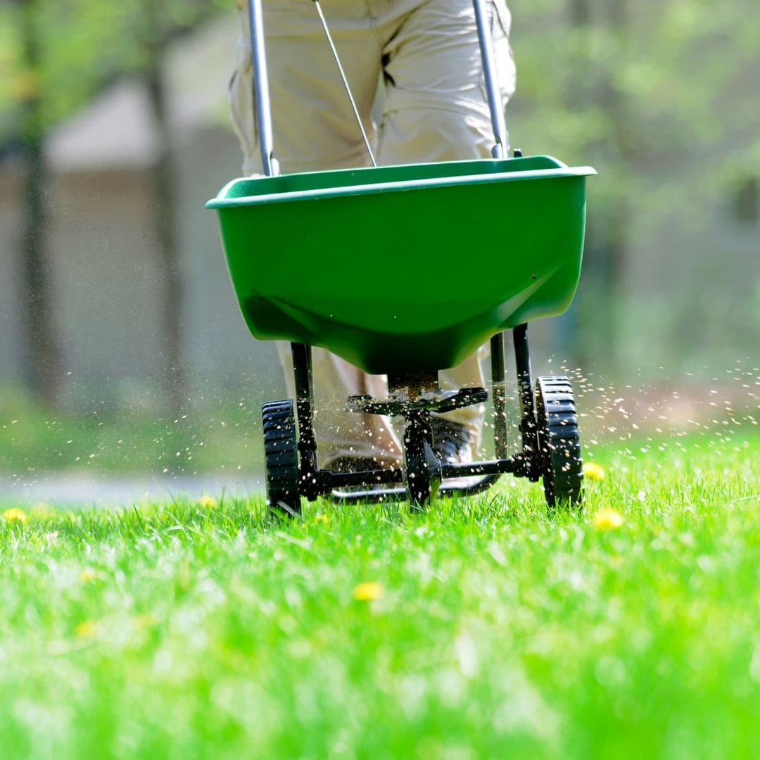 How Green Seasons Lawns Can Meet Your Lawn and Insect Control Needs-blitzimage2