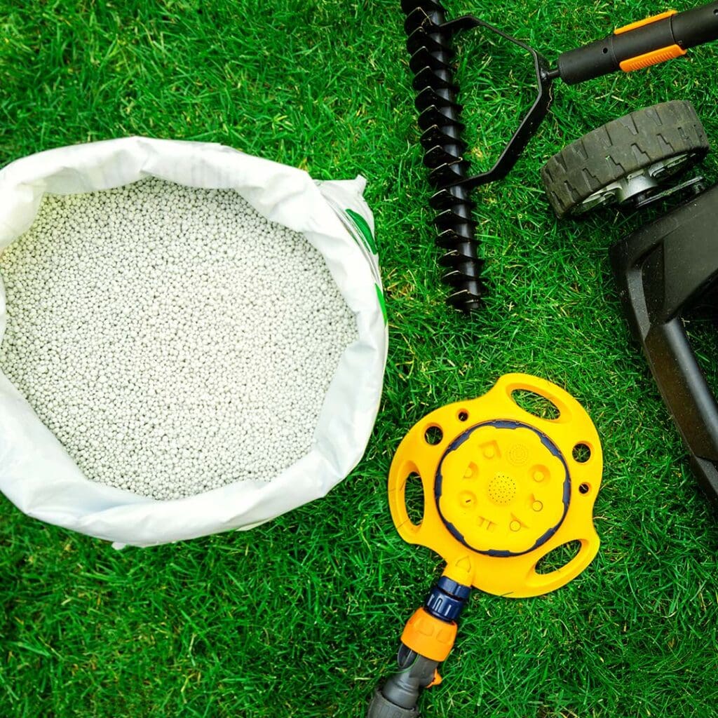 4 Ways To Keep Your Lawn Nourished In Kansas City, Missouri Green