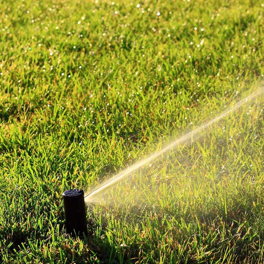 4 Ways To Keep Your Lawn Nourished In Kansas City, Missouri