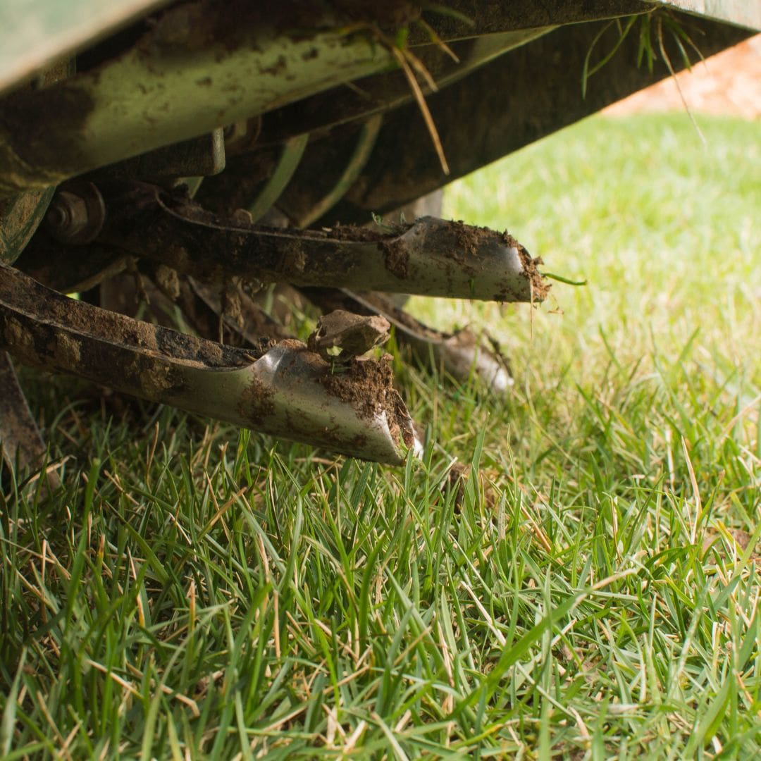 M36092 - Blog - Why You Should Aerate Your Lawns 2