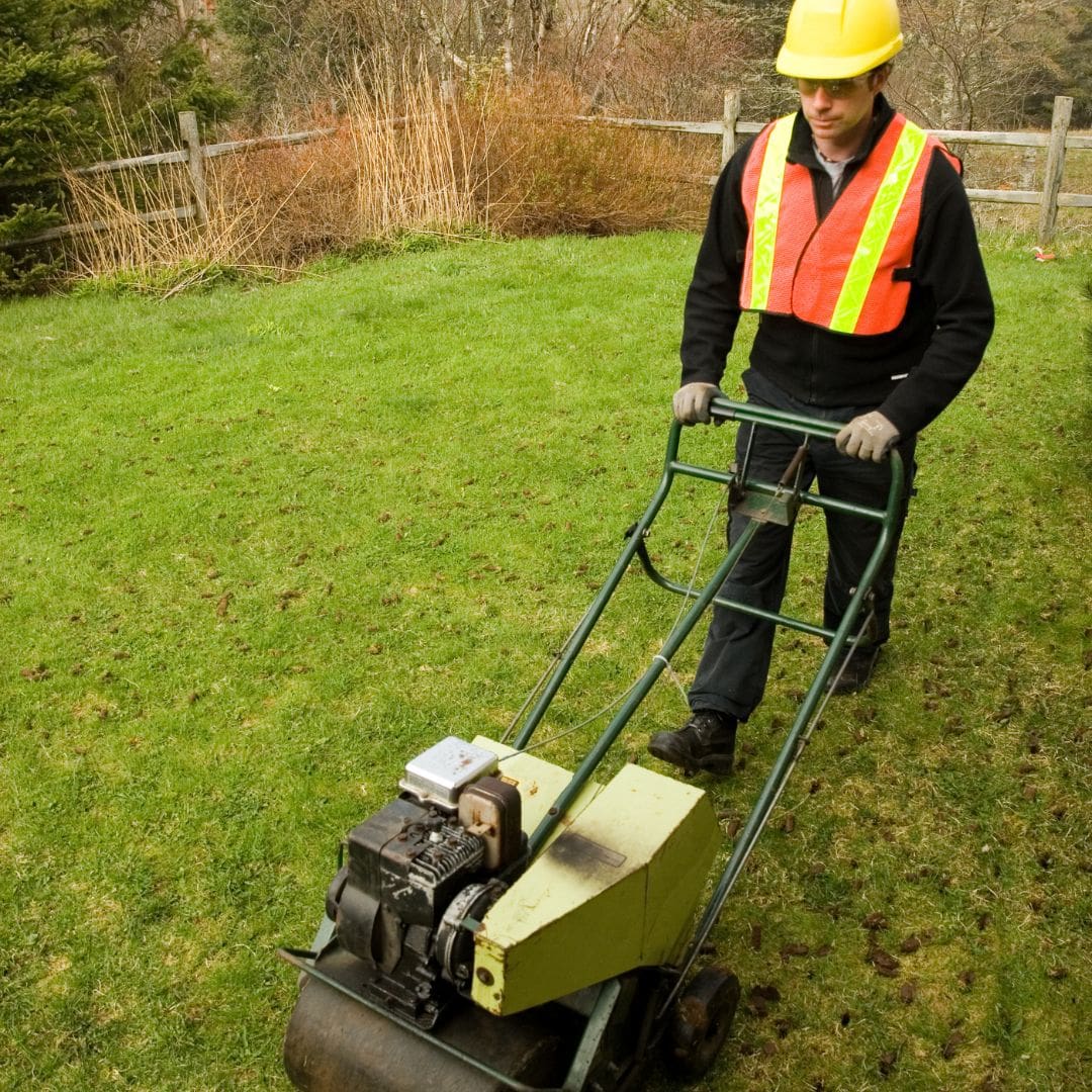 M36092 - Blog - Why You Should Aerate Your Lawns 4