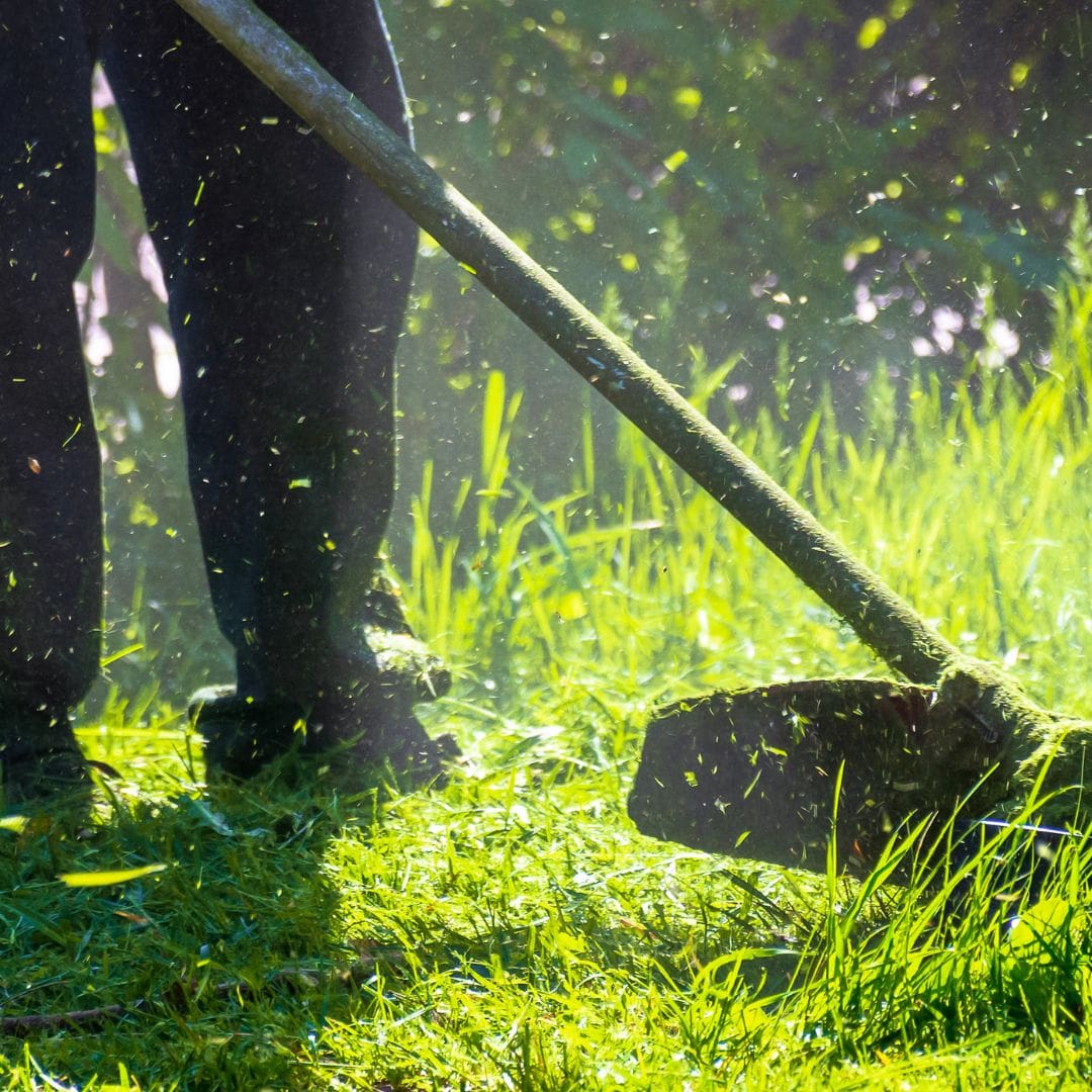 Why Is Lawn Care Important In Northland Kansas 1