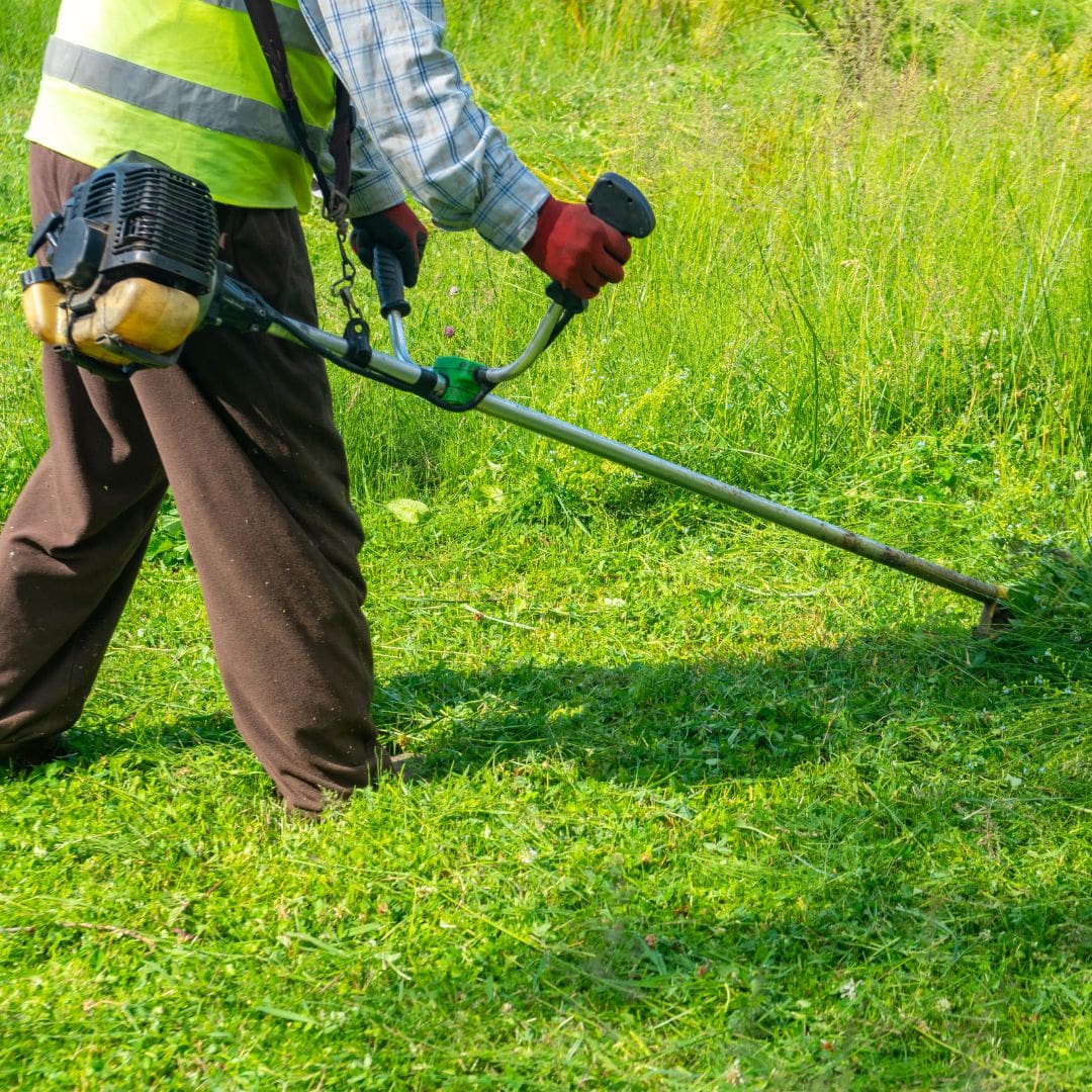Why Is Lawn Care Important In Northland Kansas 2