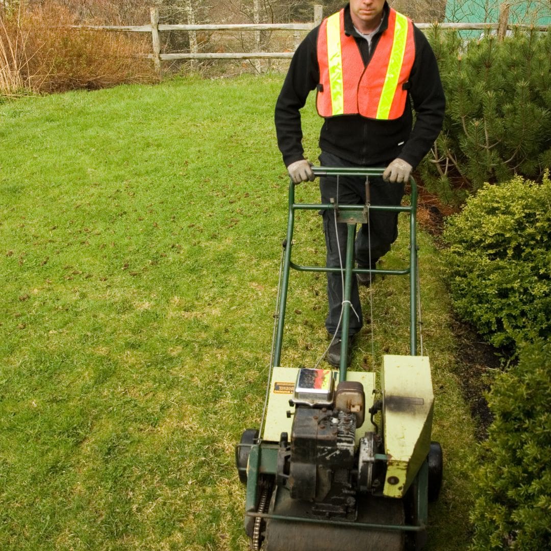 Why Is Lawn Care Important In Northland Kansas 3