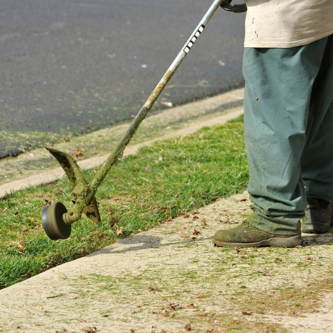 Why Is Lawn Care Important In Northland Kansas 4