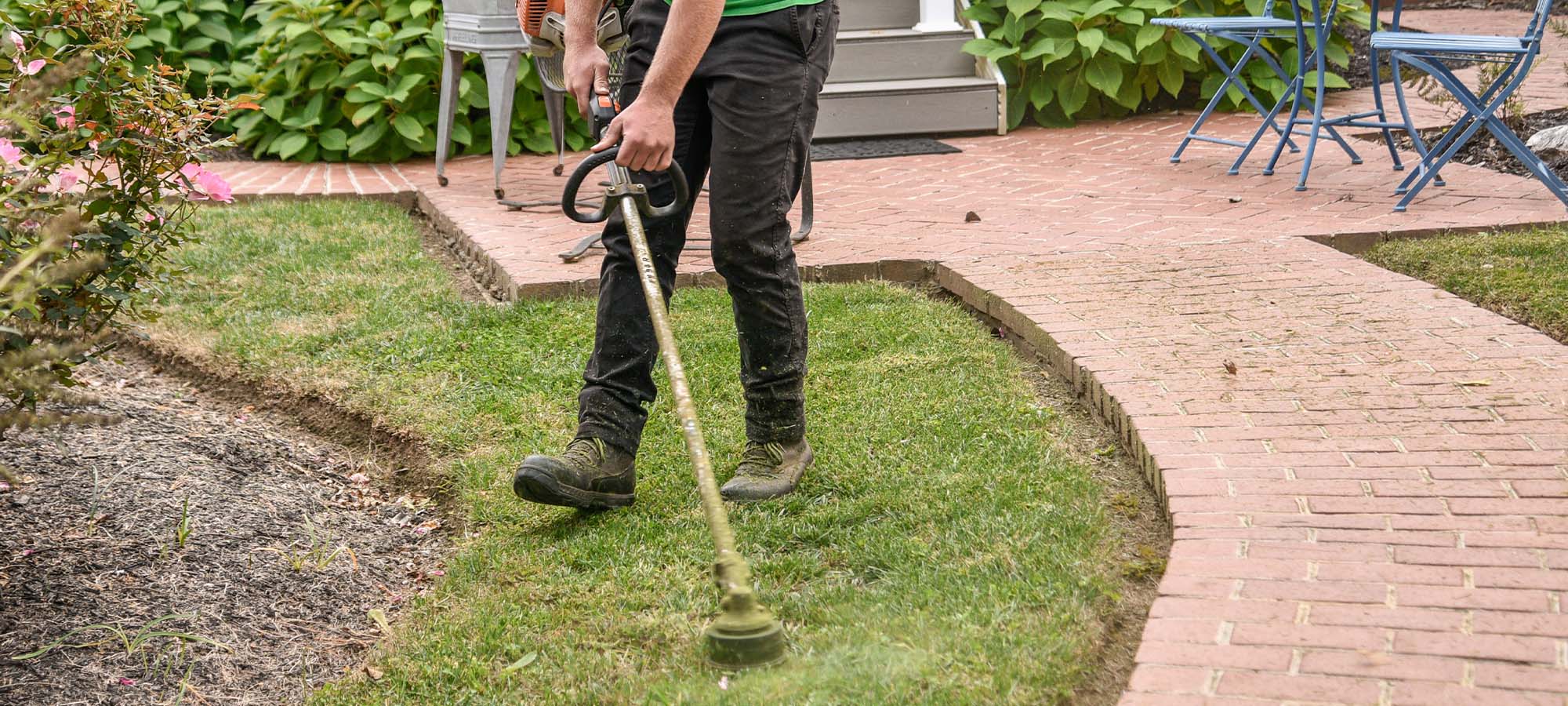 Blog Green Seasons Lawn & Tree Service