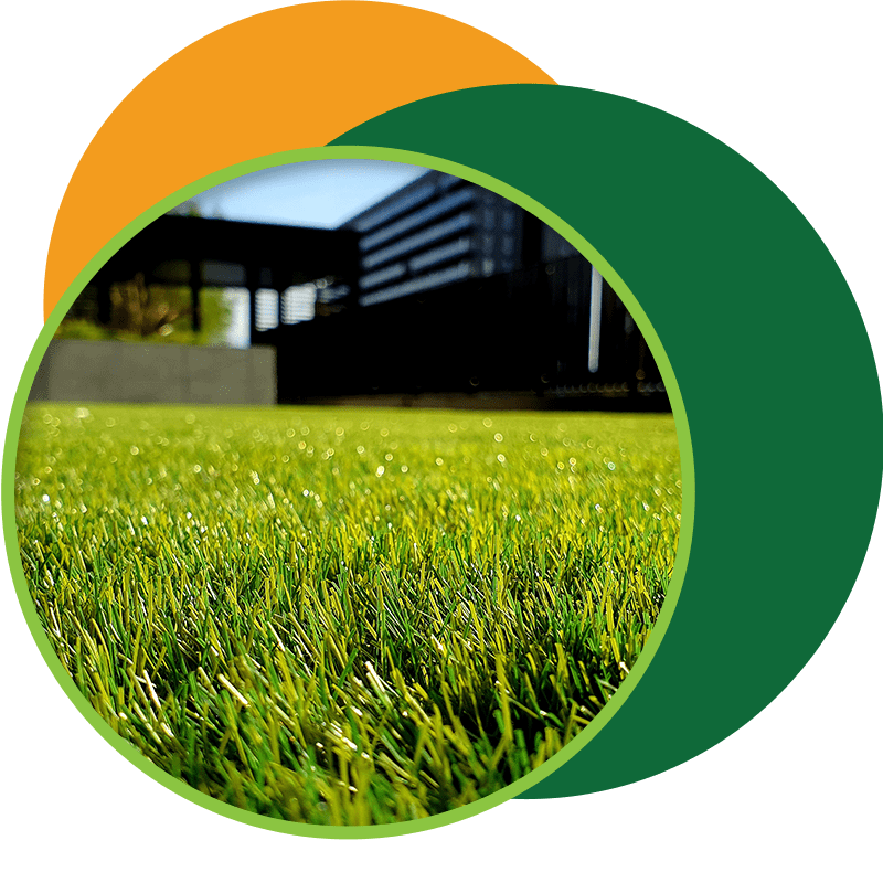 A Guide to Planting, Growing, and Getting Healthy, Green Grass Green