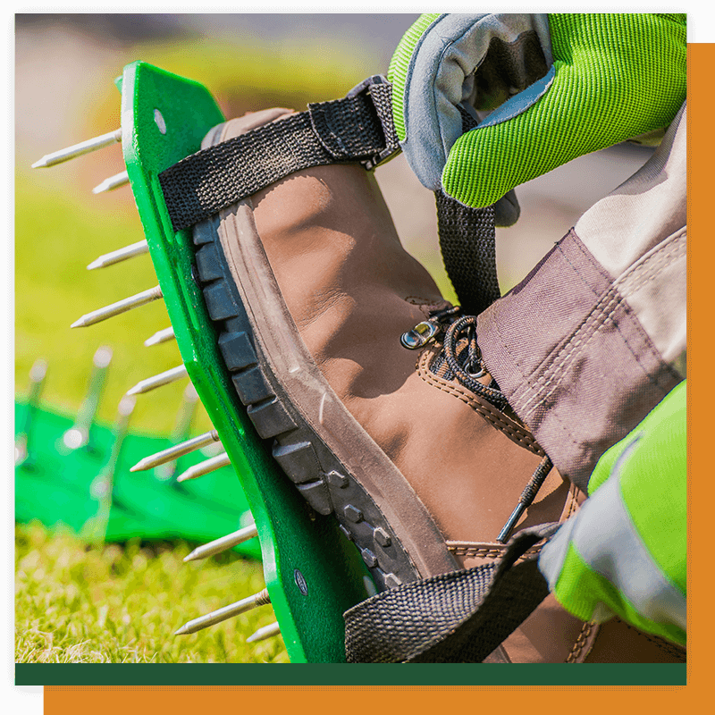 image of aerate shoes