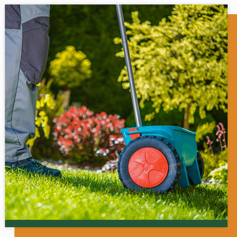 image of spreading grass seed