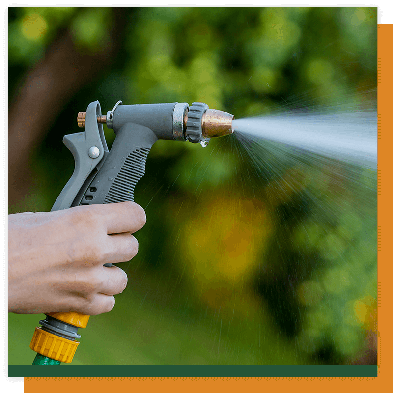 image of a garden hose