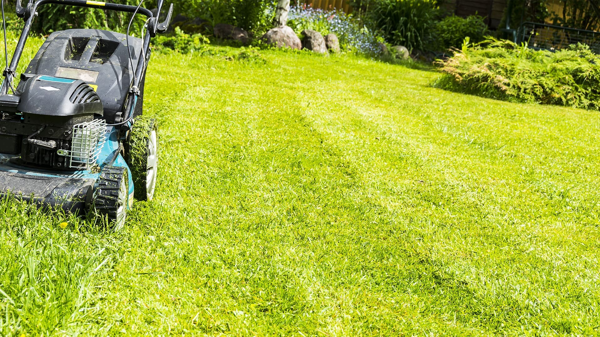 Summer Lawn Care 101