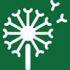 dandelion icon