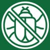 insect icon