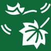 leaves icon