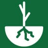 roots icon