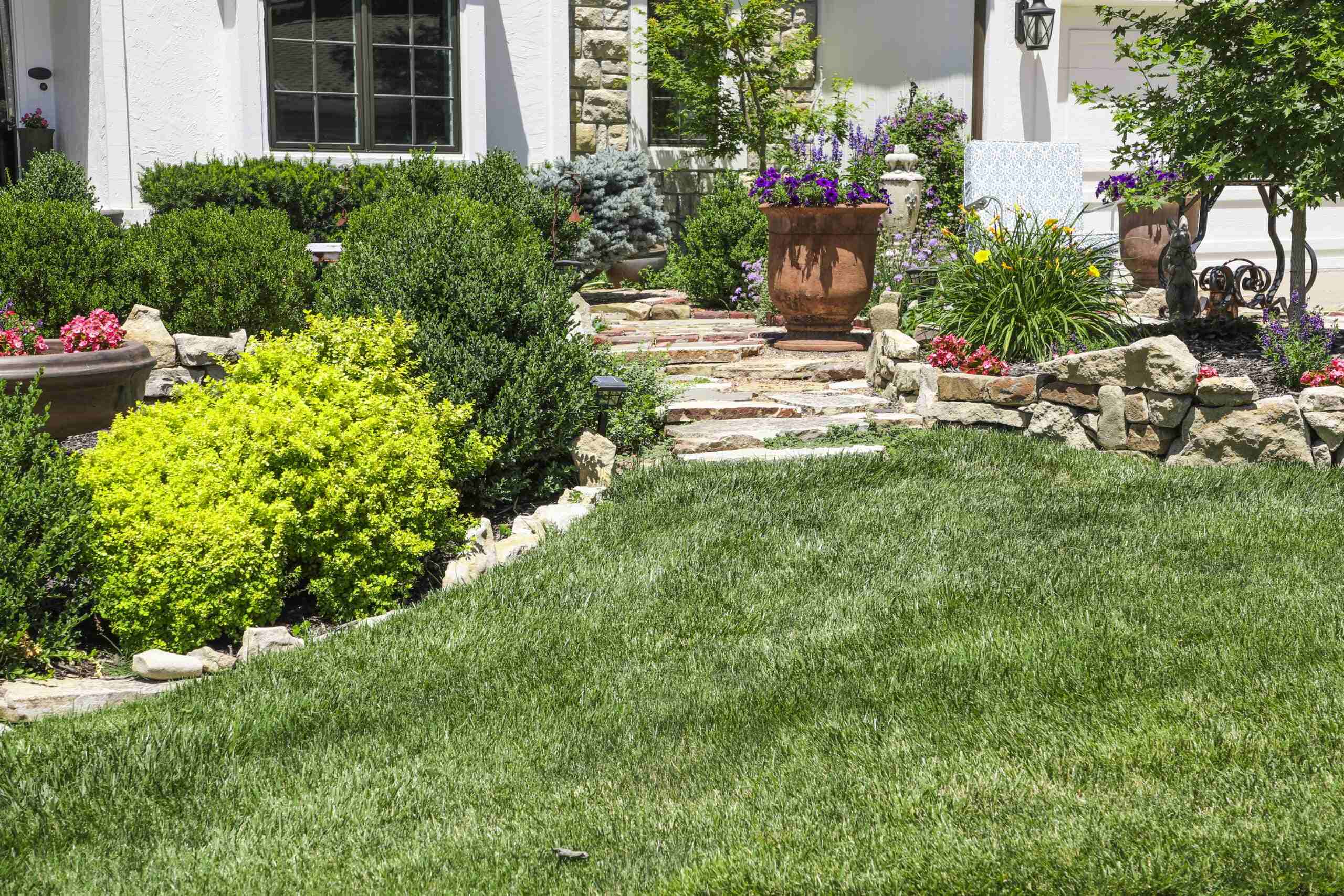 smithville-mo-tick-and-mosquito-control_11zon