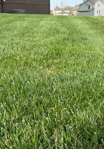 parkville-mo-aeration